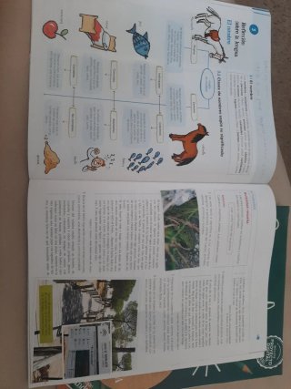 Lengua y literatura 1 ESO