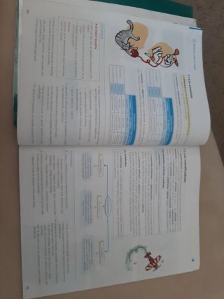 Lengua y literatura 1 ESO
