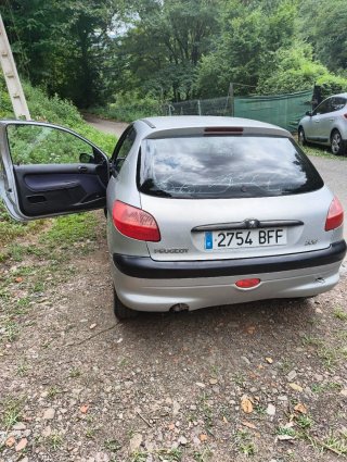 Peugeot 206 2001