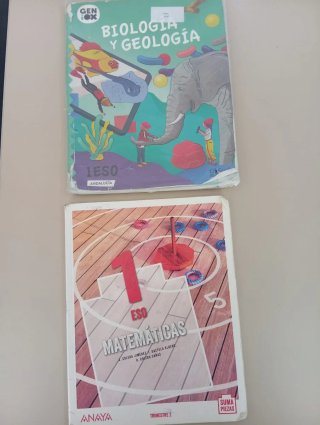varios libros escolares Teamwork 1ºeso St Andalu