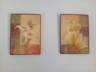 Juego de 2 cuadros de flores