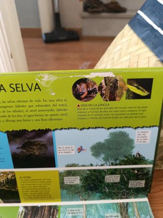 Selvas: asombrosos 3D
