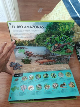 Selvas: asombrosos 3D