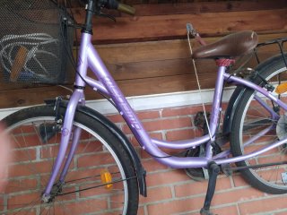 Bici señora morada con cesta