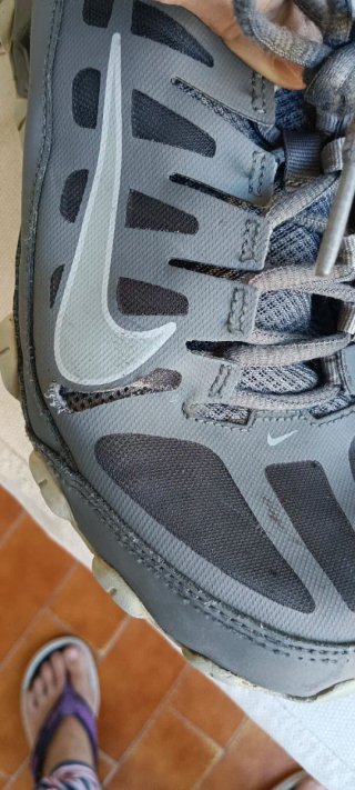 Deportivas Nike Reax 8 Tr grises