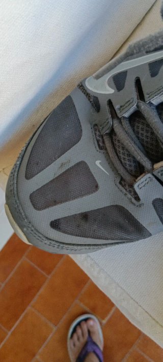 Deportivas Nike Reax 8 Tr grises