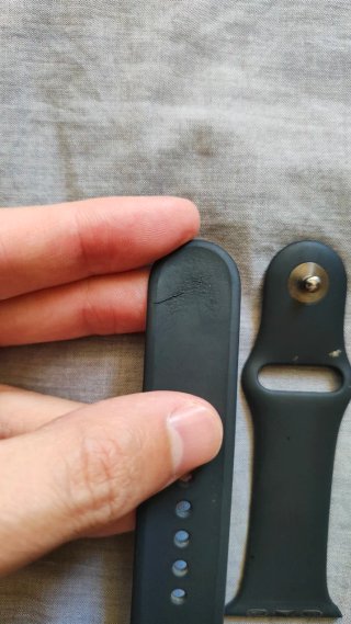 Correa Apple Watch