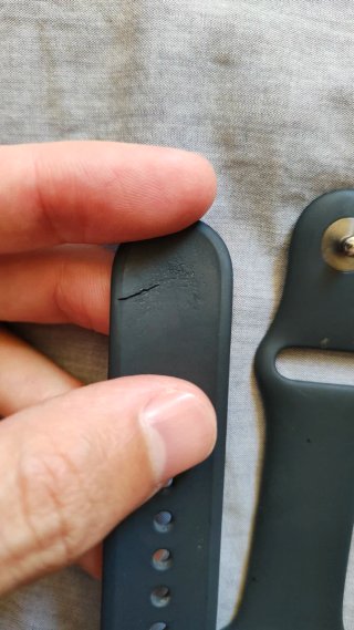 Correa Apple Watch