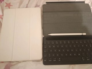 Lote accesorios iPad Apple