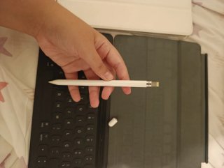Lote accesorios iPad Apple