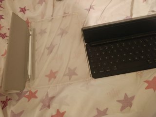 Lote accesorios iPad Apple