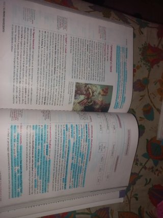 Libro scolastico  Classe di Letteratura 3A