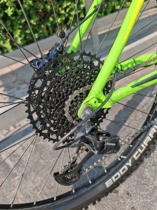 Bicicleta focus eléctrica