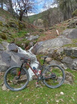 Mondraker Podium R 2019.