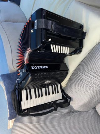 Fisarmonica Hohner Bravo 48 Bassi