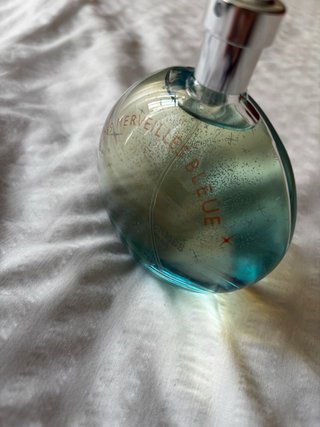 Eau des Merveilles Blue 100ml Hermes