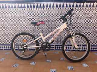 Bicicleta Avigo Niña 20”