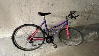 Lote de 3 Bicicletas