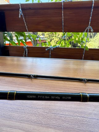 Caña Casting Abu Garcia Svartzonker 7'1 30-140g