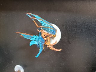 Warhammer 40K Tyranid Modelos