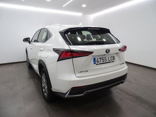 Lexus NX   2.5 300h Business 2WD
