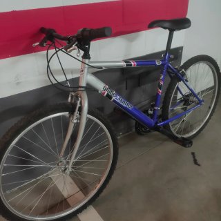 2 Bicicletas de Adulto