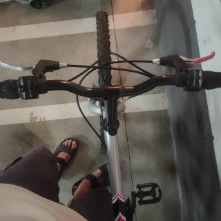 2 Bicicletas de Adulto
