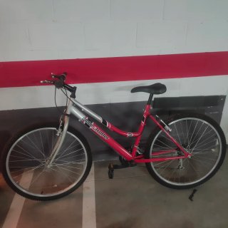 2 Bicicletas de Adulto