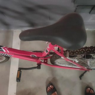 2 Bicicletas de Adulto