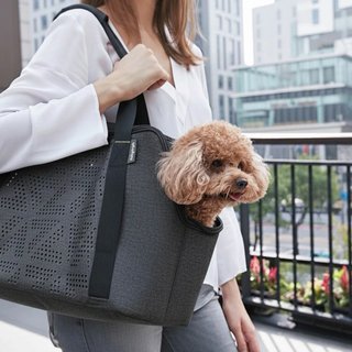 Bolso Transporte Perro Ibiyaya Breezy Wanderer