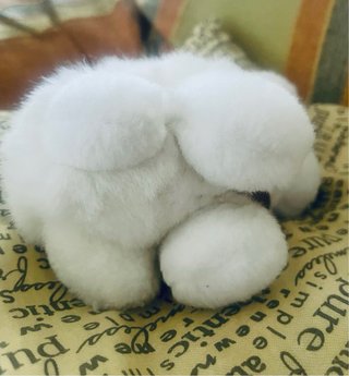 Peluche cagnolino bianco 16 cm