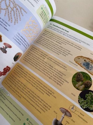BIOLOGIA 1 BTX CONSTRUINT MONS