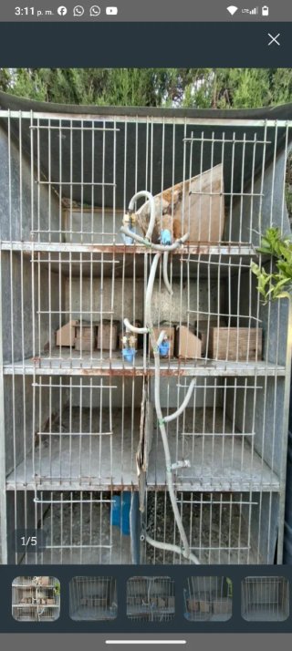 Jaula para pájaros o animales pequeños