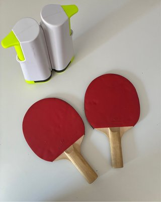 Palas de ping pong con red