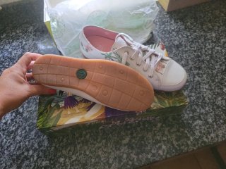 Zapatos Panamá Jack Talla 37 Nuevos