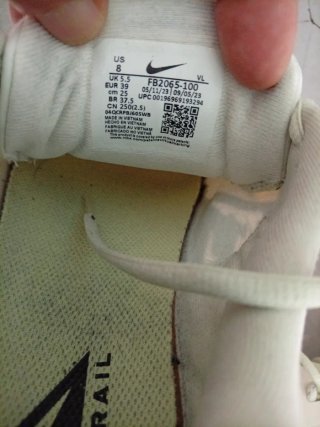 Zapatillas Nike Trail Running GTX Beige/Negro
