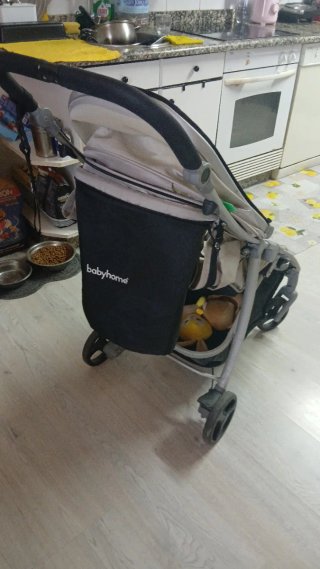Carrito de bebé babyhome