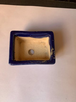 Mini maceta bonsai