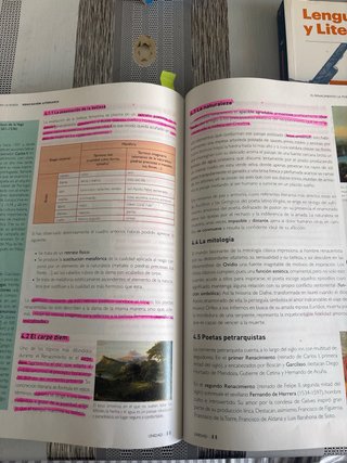 Lengua castellana y literatura 1, Le Bachillerato