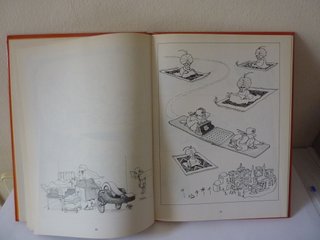 Quinoterapia