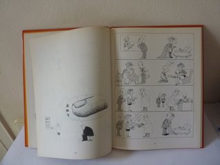 Quinoterapia