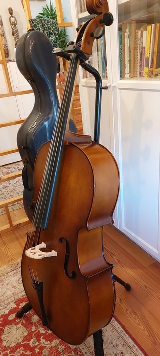 Violoncelo Estudante 4/4