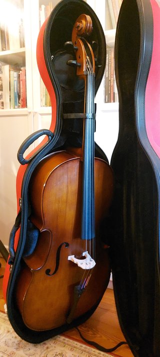 Violoncelo Estudante 4/4