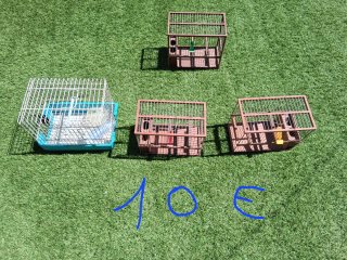 Jaulas para pájaros