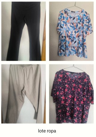 Lote Ropa: Blusas, Faldas, Vestidos, Pantalones