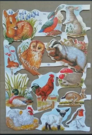 Lamina Cromos troquelados MLP 1563. Animales