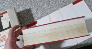 Vocabolario latino IL Castiglione-Mariotti + CD