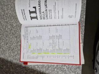 Vocabolario latino IL Castiglione-Mariotti + CD
