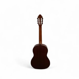 GUITARRA ESPAÑOLA VICENTE TATAY C320.202 + FUNDA