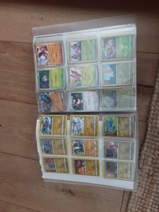 Álbum Pokémon Antiguo
